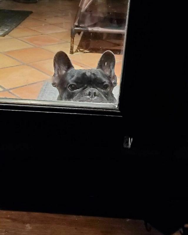 ������ ��������