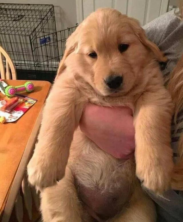 ������ ��������