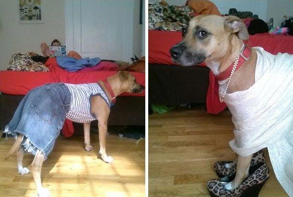 ������ ��������