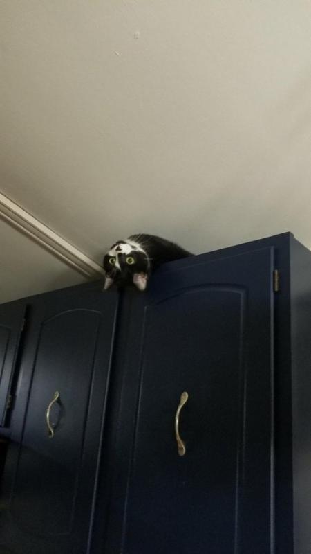 ������ ��������