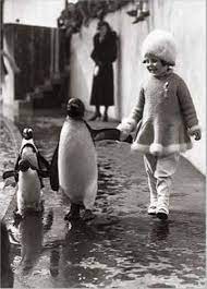 ������ ��������