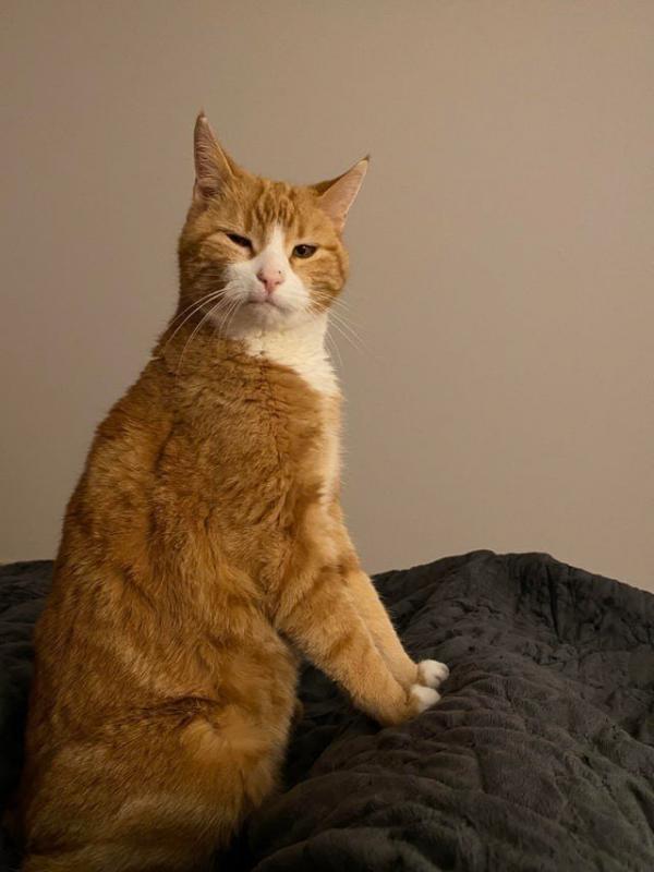 ������ ��������