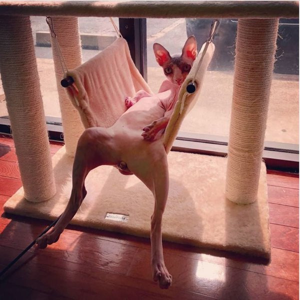 ������ ��������