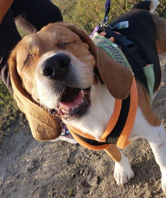 ������ ��������