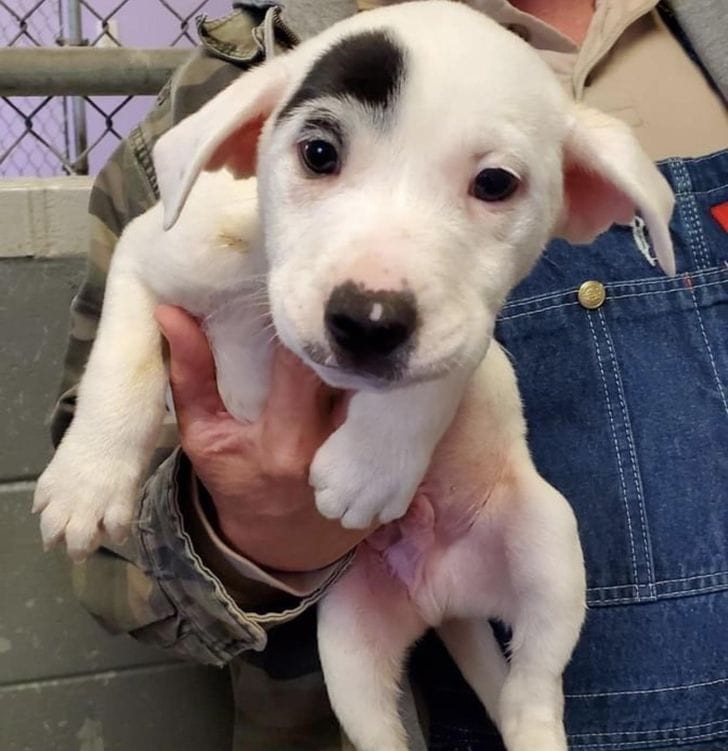 ������ ��������