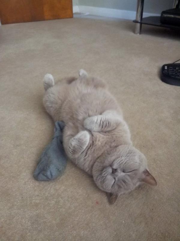 ������ ��������