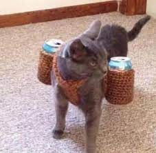 ������ ��������