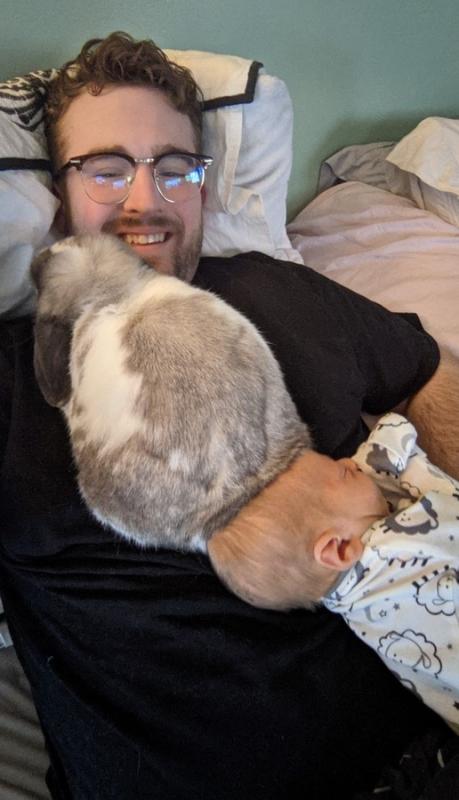 ������ ��������