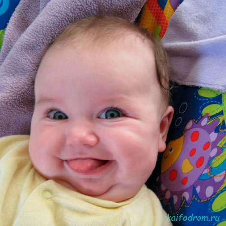 ������ ��������