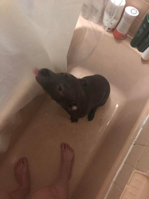 ������ ��������