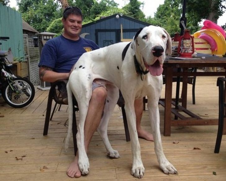 ������ ��������