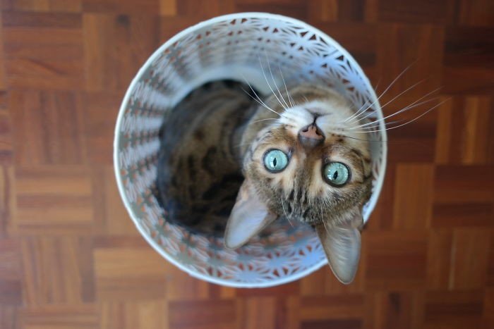 ������ ��������