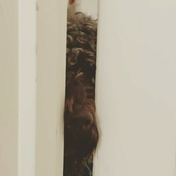 ������ ��������