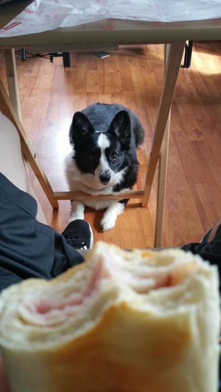 ������ ��������