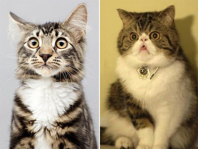 ������ ��������