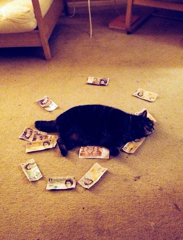 ������ ��������