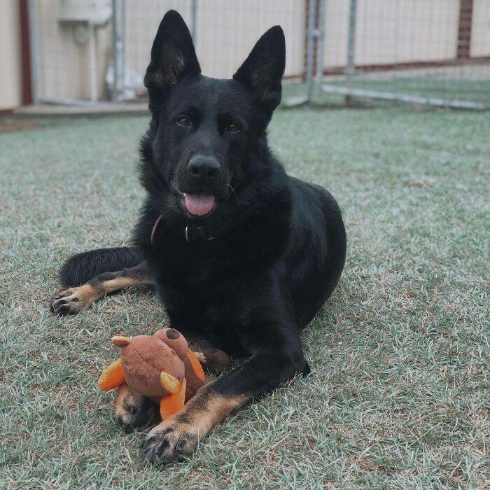 ������ ��������