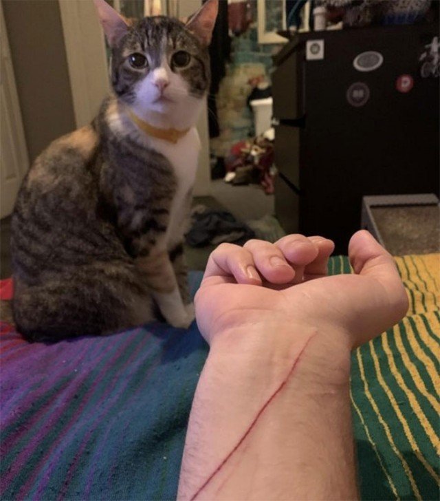 ������ ��������