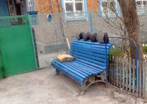 ������ ��������