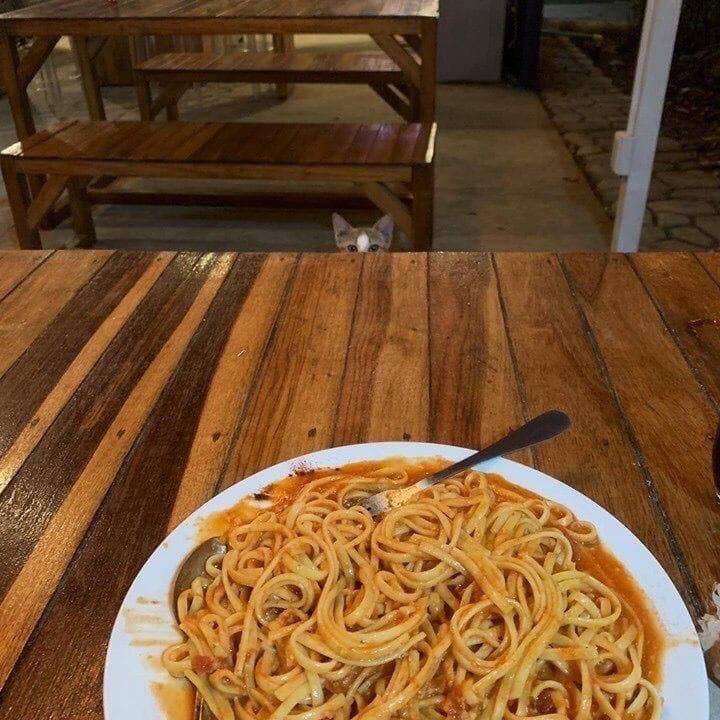������ ��������
