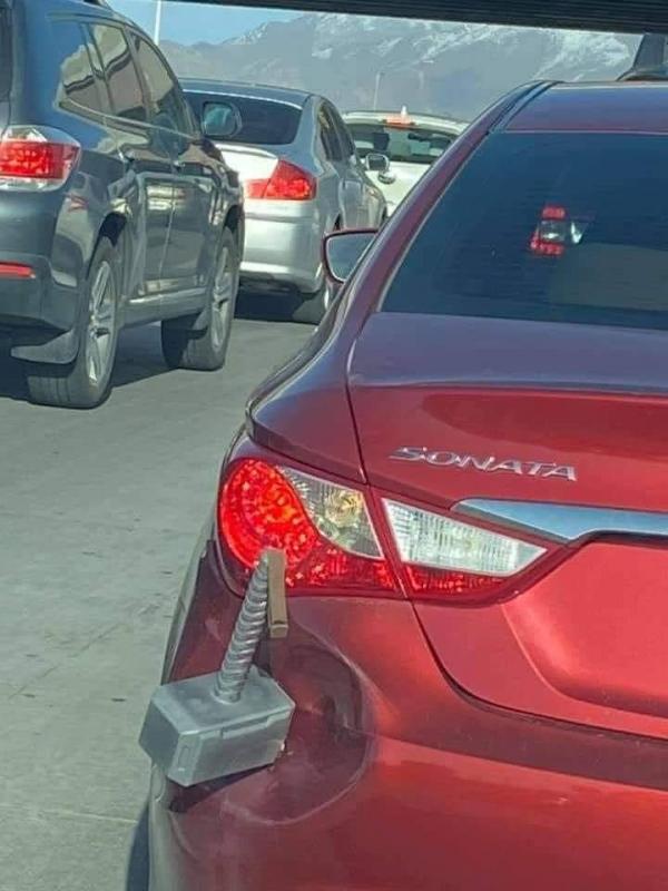 ������ ��������