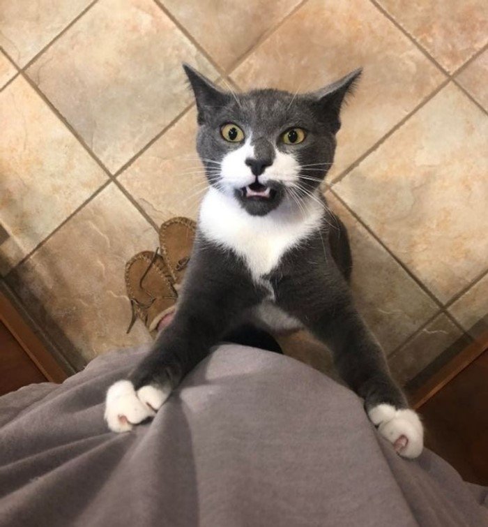 ������ ��������