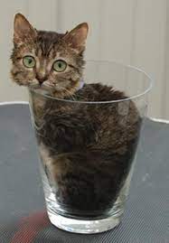 ������ ��������