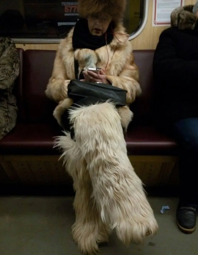 ������ ��������