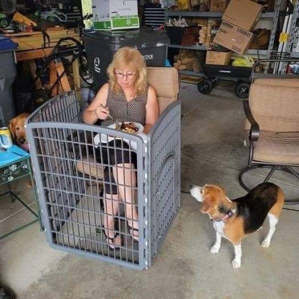 ������ ��������