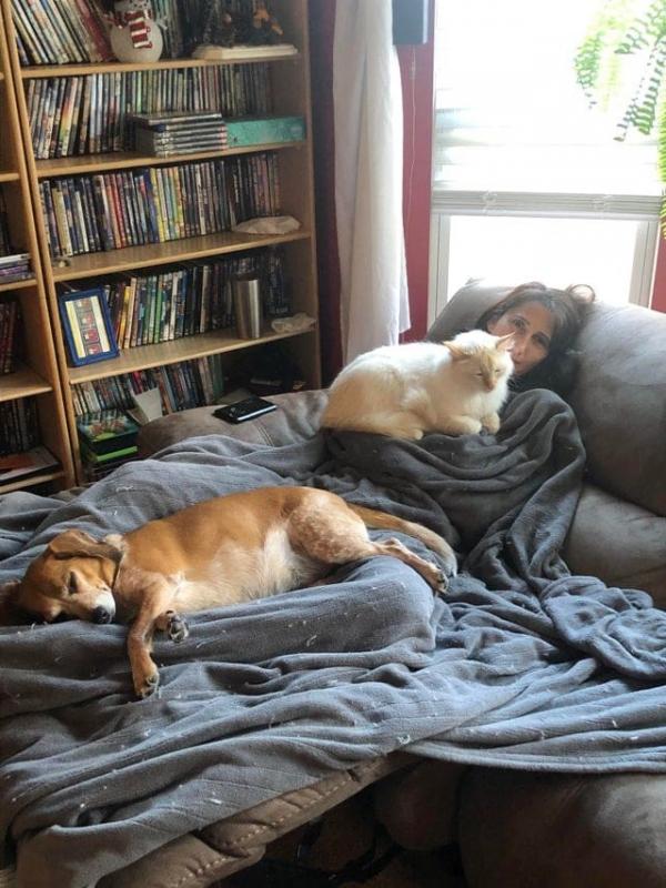 ������ ��������