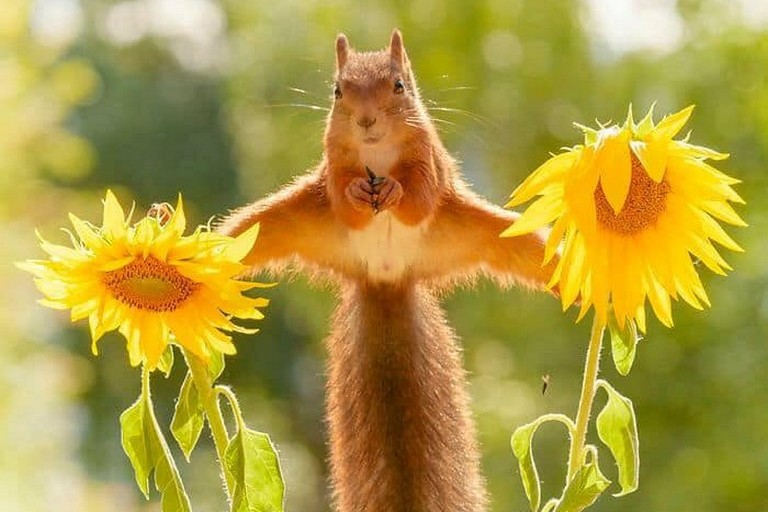 ������ ��������