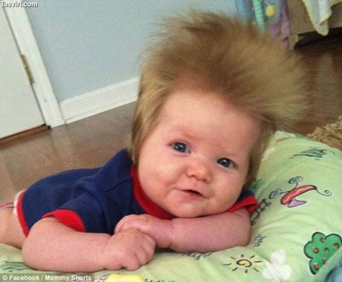 ������ ��������