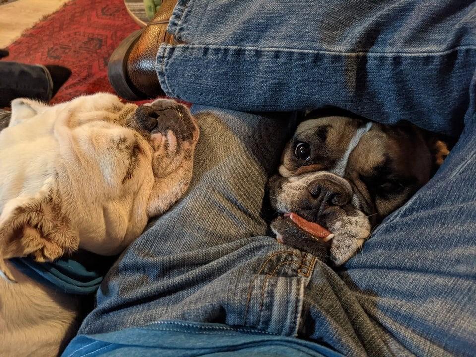 ������ ��������