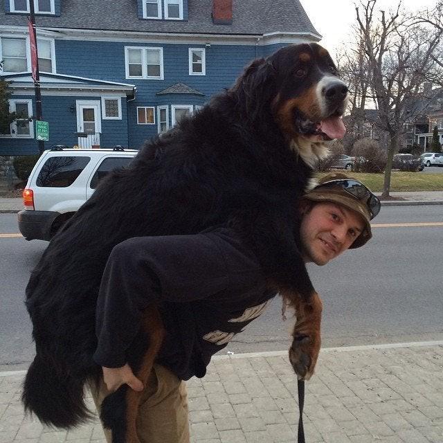 ������ ��������