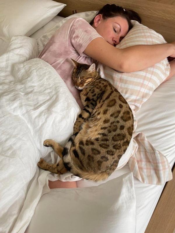 ������ ��������