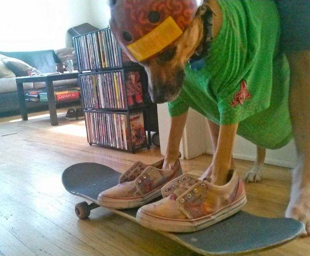 ������ ��������