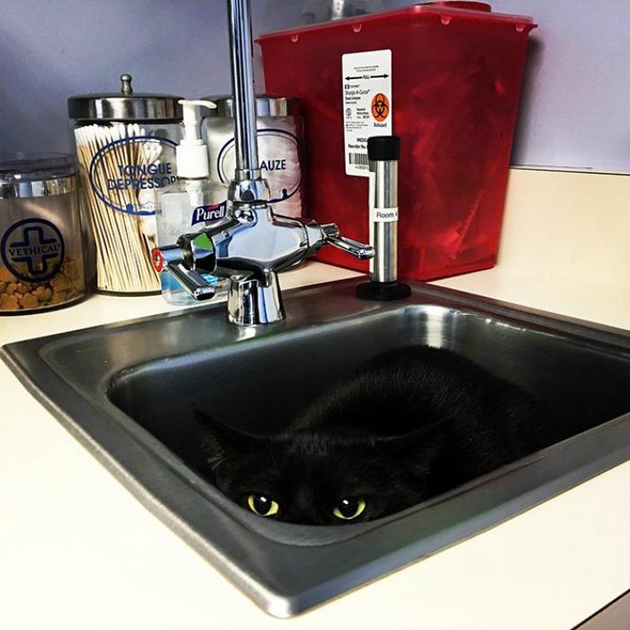 ������ ��������