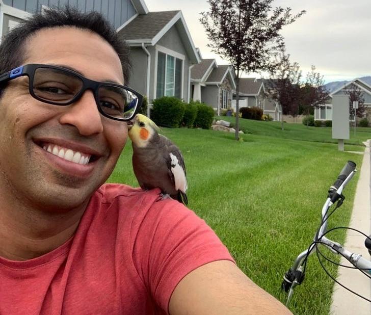 ������ ��������