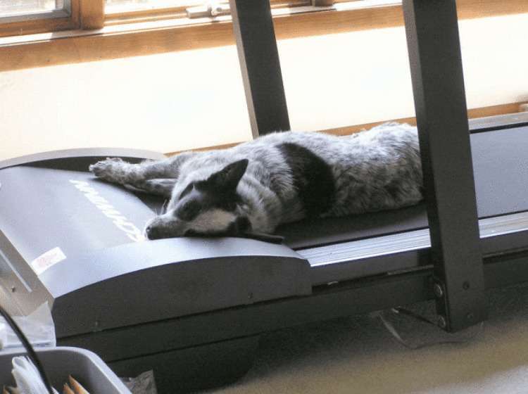 ������ ��������