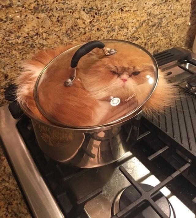 ������ ��������