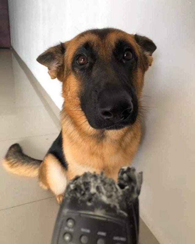 ������ ��������