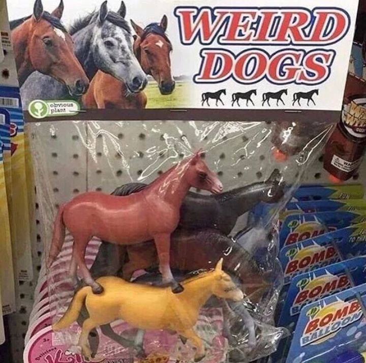 ������ ��������