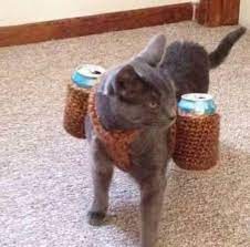 ������ ��������