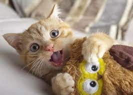 ������ ��������