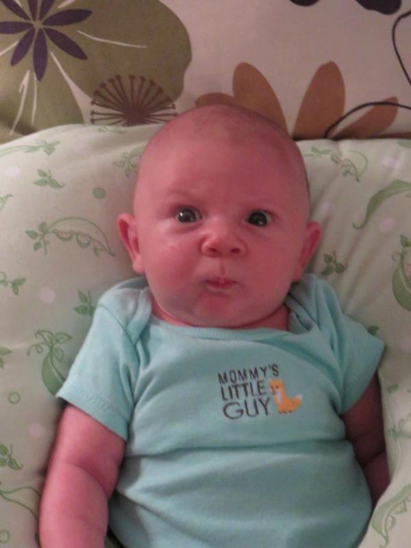 ������ ��������