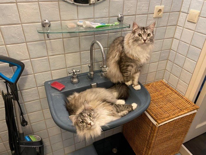 ������ ��������