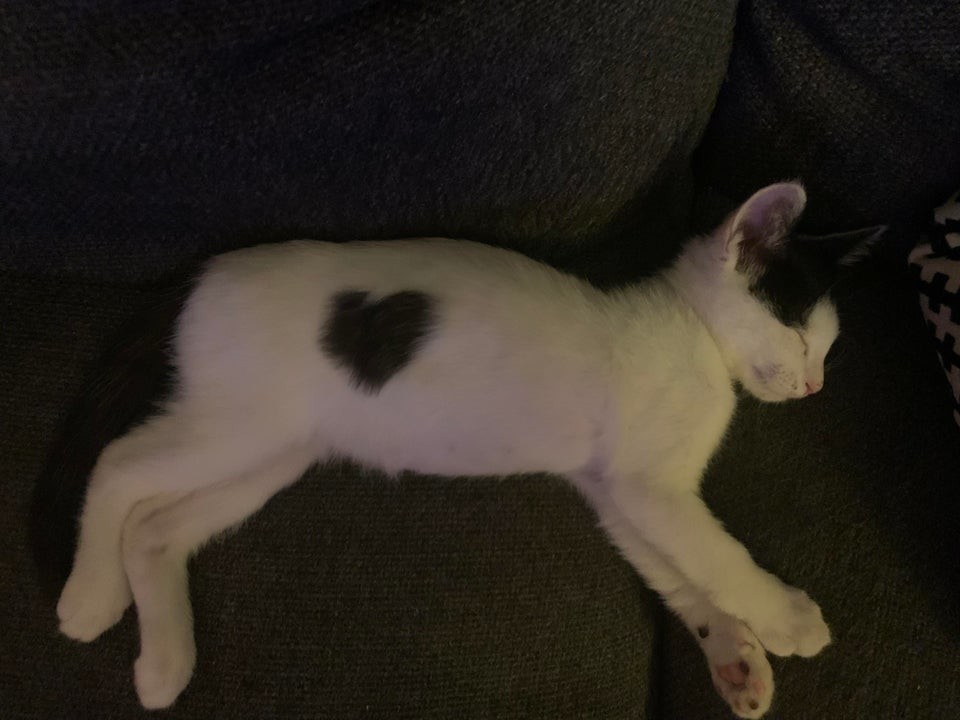 ������ ��������