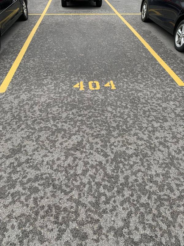 ������ ��������