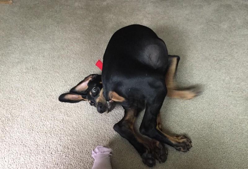 ������ ��������