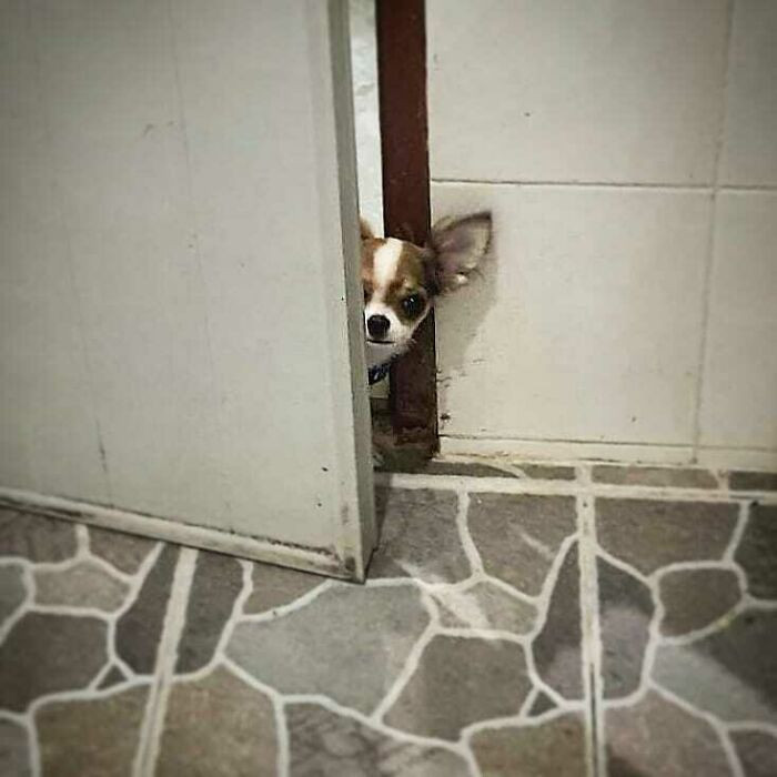 ������ ��������